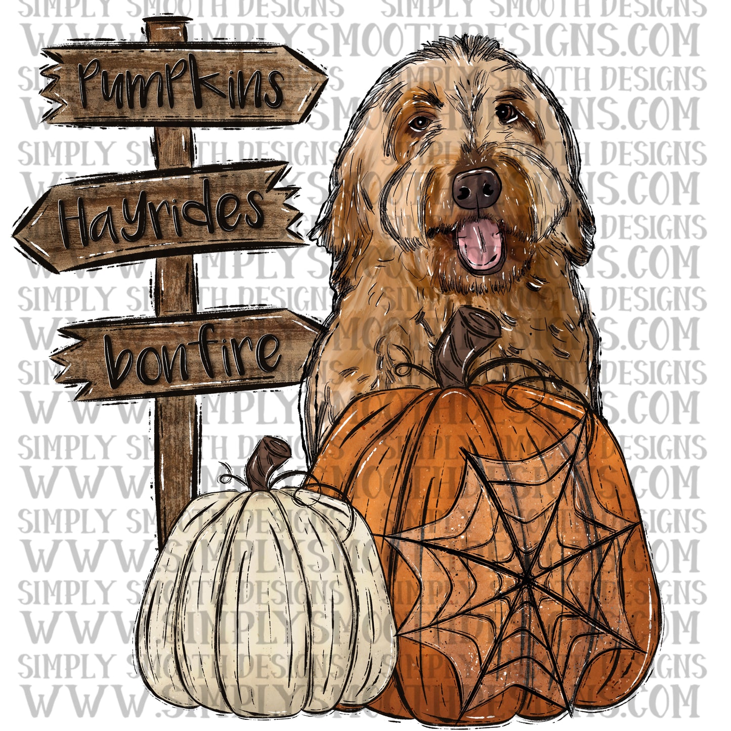 Golden doodle pumpkin