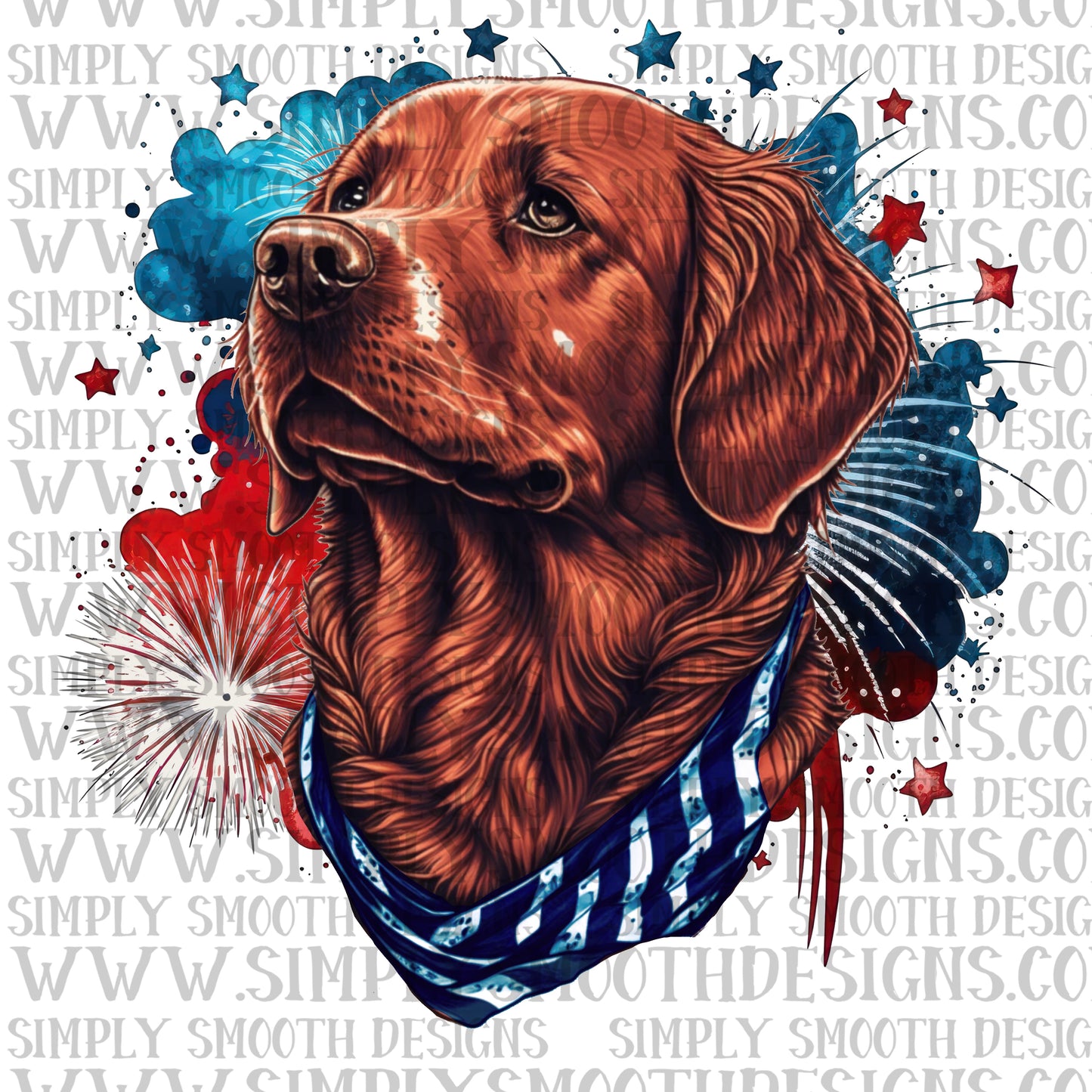 Red retriever dog 4th of july