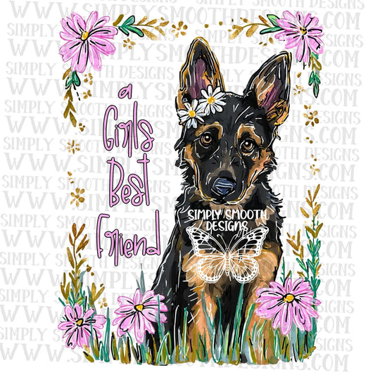 A Girl’s Best Friend Rottweiler