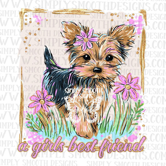 A Girl’s Best Friend Yorkie