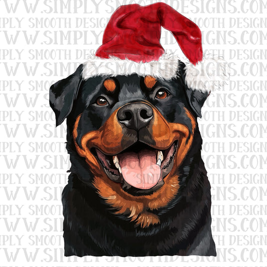 Rottweiler christmas