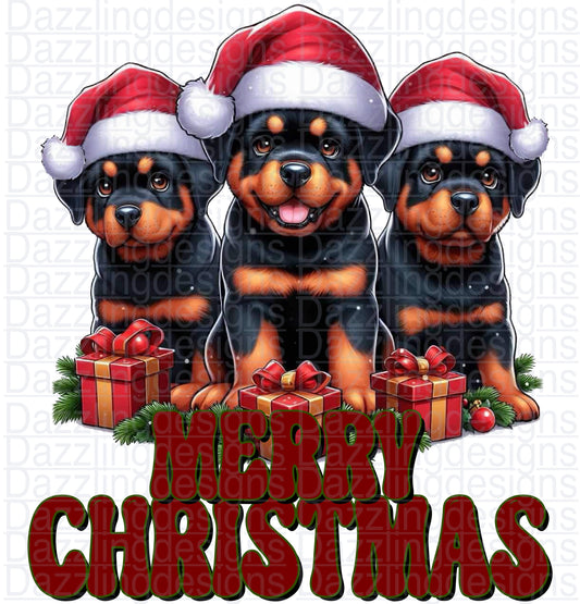 Merry Christmas Rottweiler