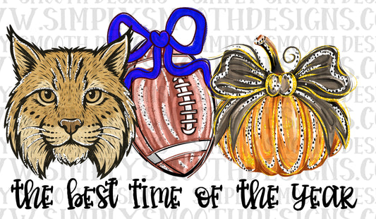 Best time of the year cat