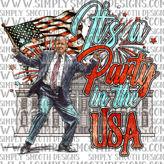 Party in the usa