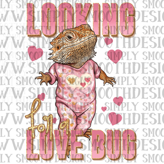 Looking for a love bug bearded dragon