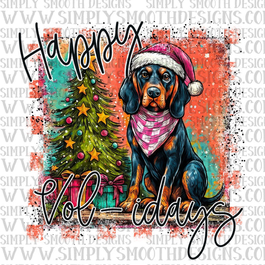 Voliday