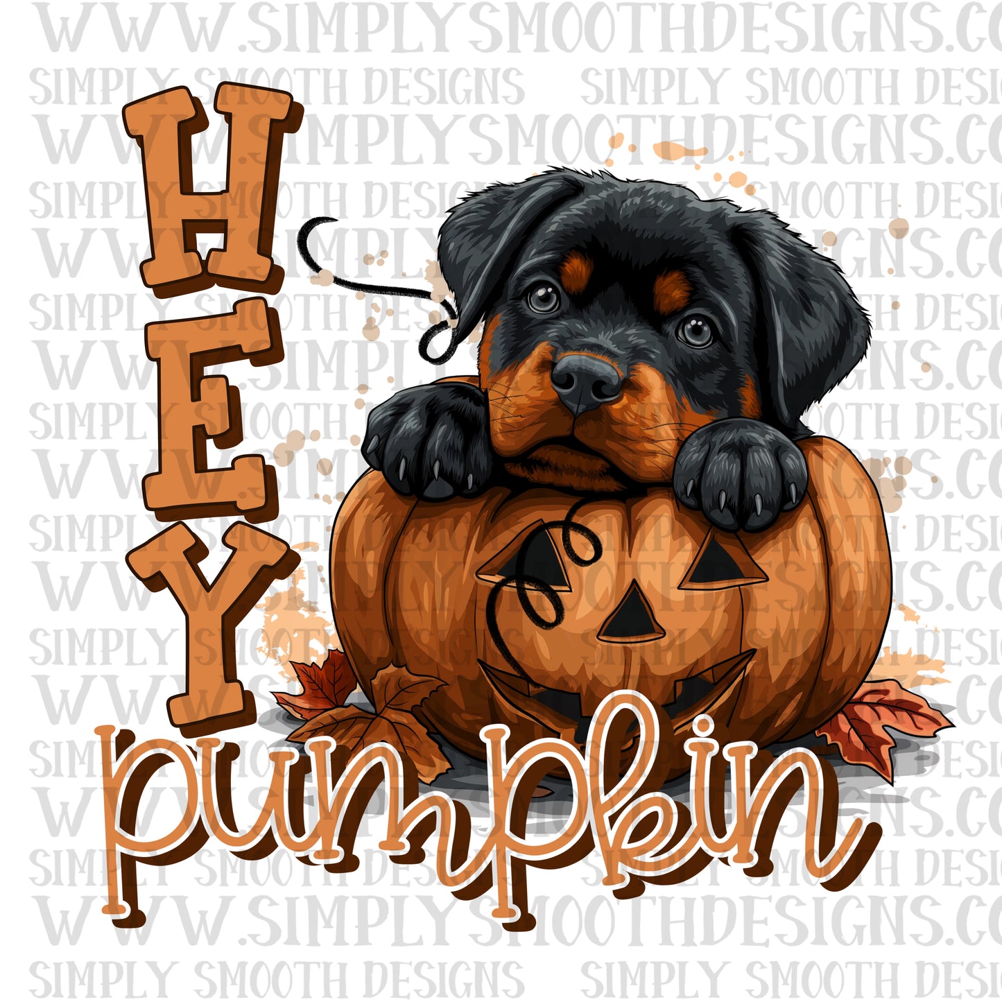 Hey pumpkin Rottweiler