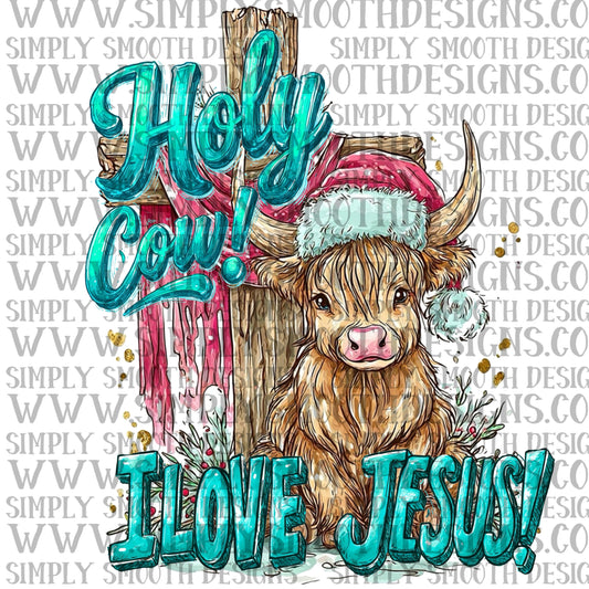 Holy Cow I love Jesus