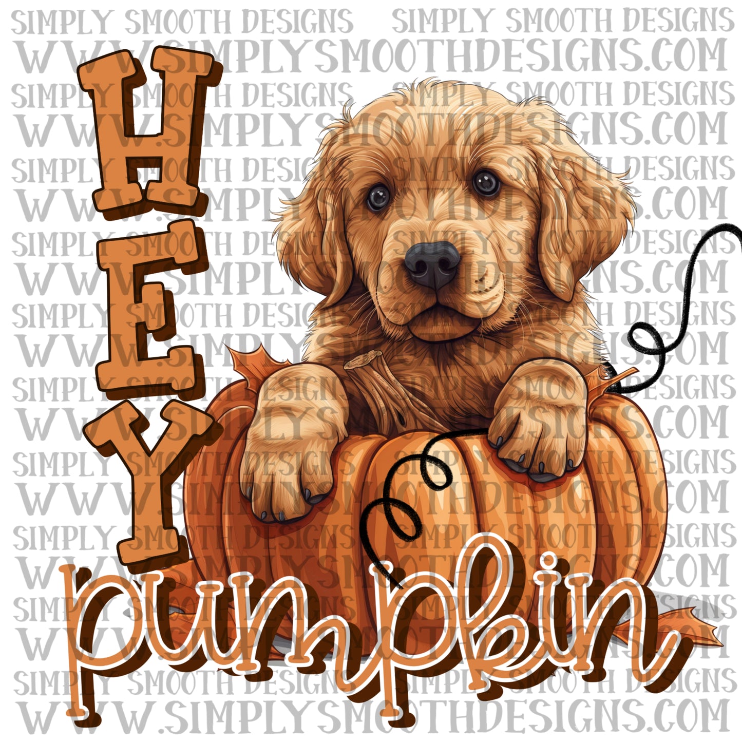 Hey Pumpkin Retriever