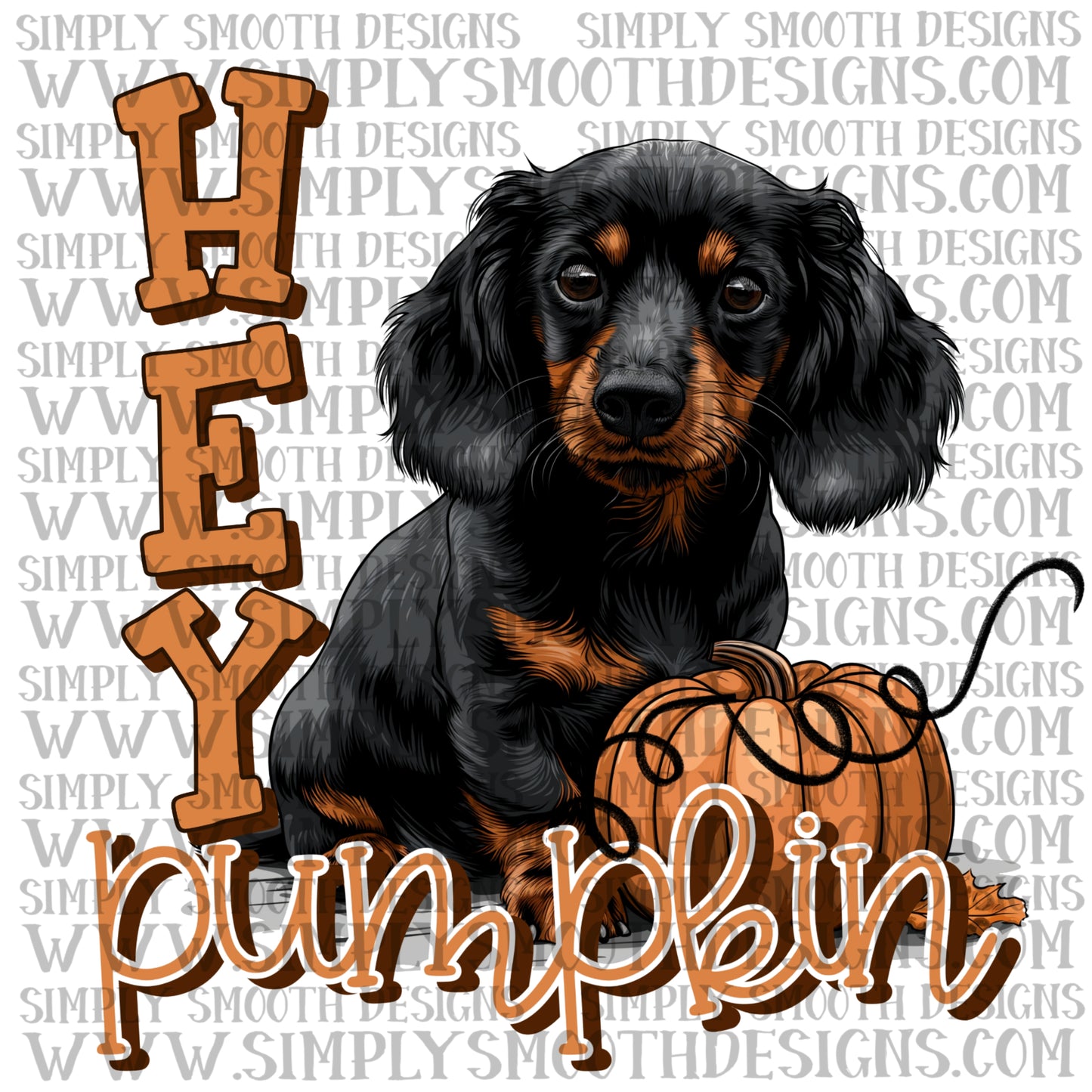 Hey Pumpkin Dachshund