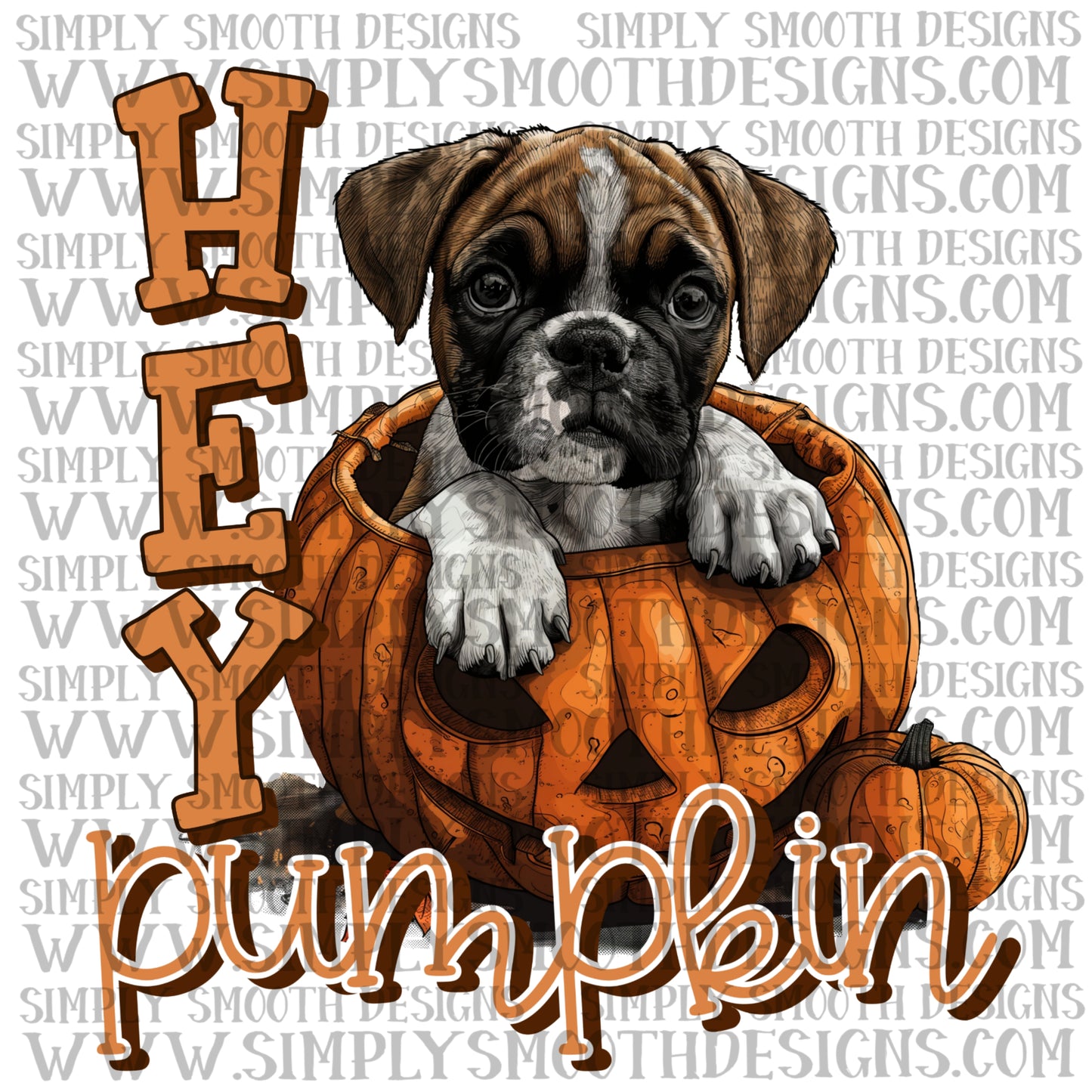 Hey Pumpkin Boxer