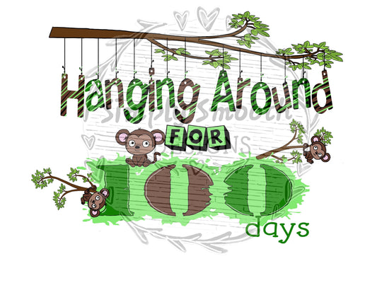 Hanging around for 100 days monkeys