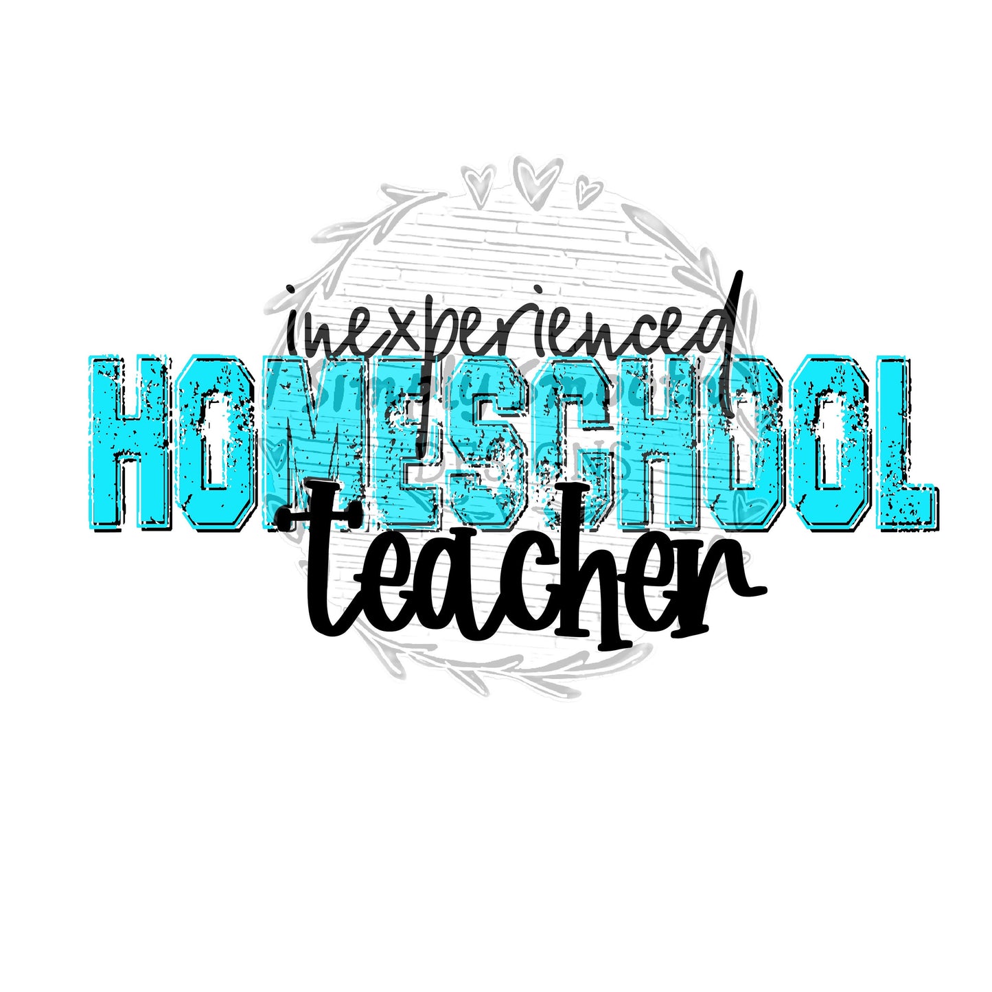 Inexperienced homeschool teacher school