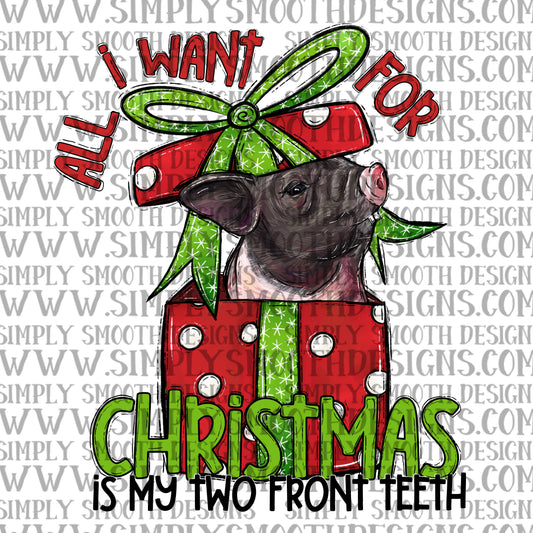 All I want for Christmas is my two front teeth pig
