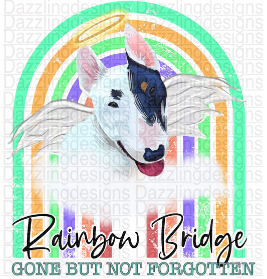 Rainbow Bridge Dog png digital download design