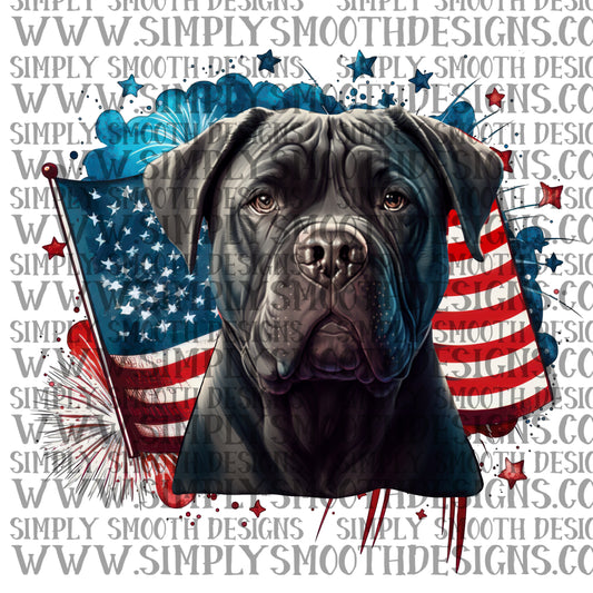 Cane corso 4th of july