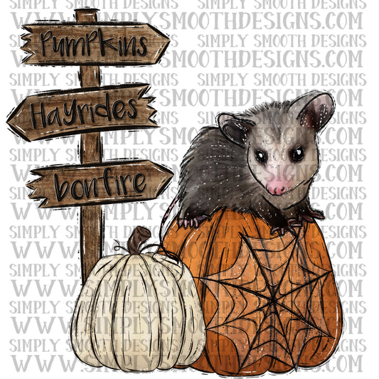 Opossum pumpkin