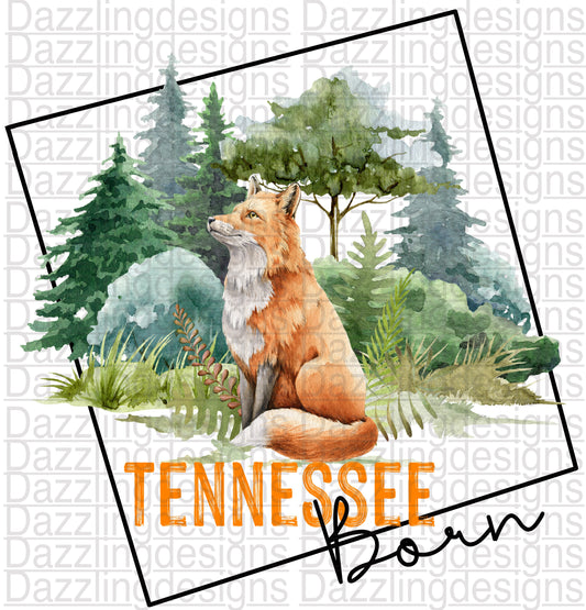 Tennessee Born Fox