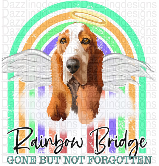 Rainbow Bridge Dog png digital download design