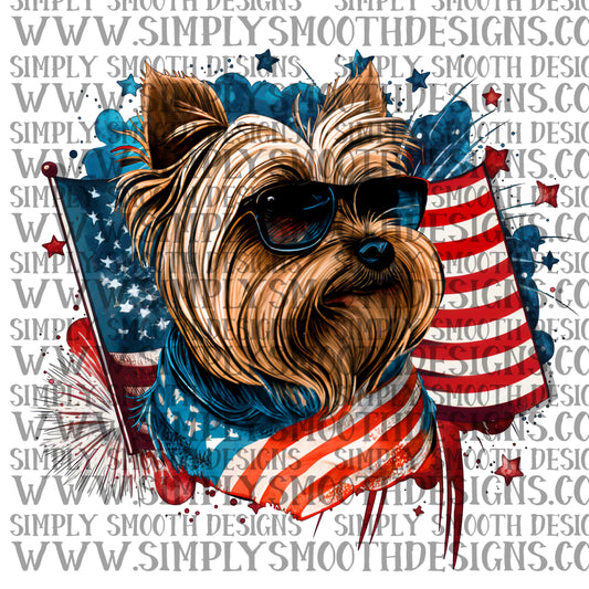 Yorkie 4th of july