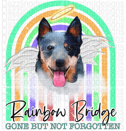 Rainbow Bridge Dog png digital download design