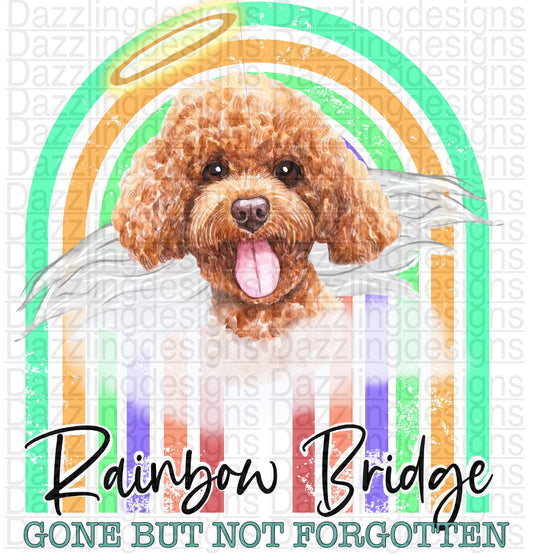 Rainbow Bridge Dog png digital download design