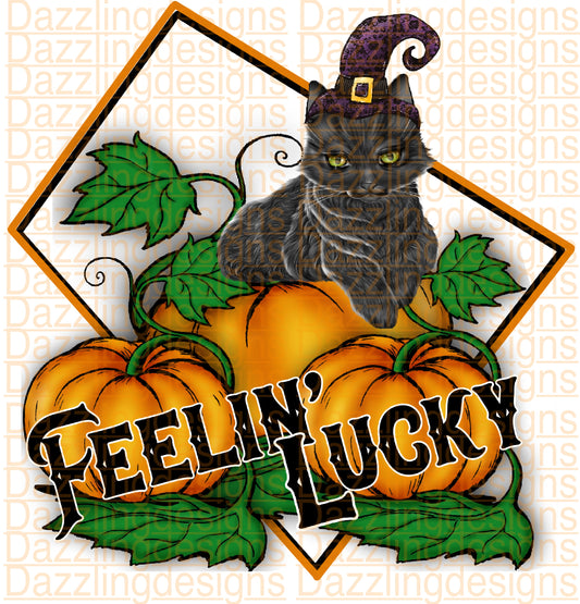 Feelin’ Lucky Halloween Cat