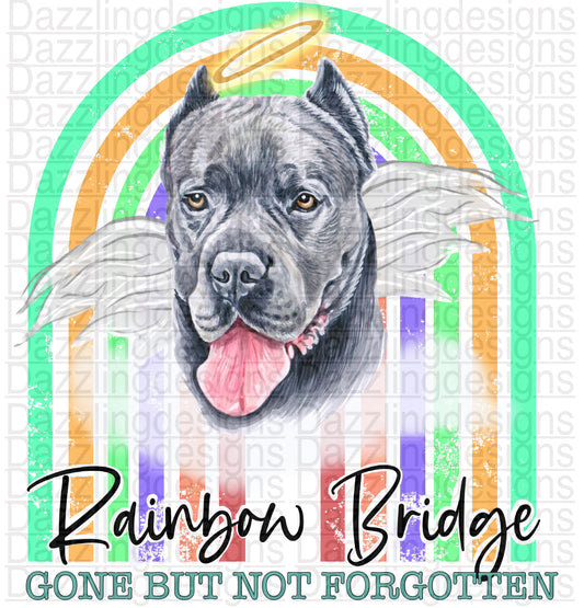 Rainbow Bridge Dog png digital download design