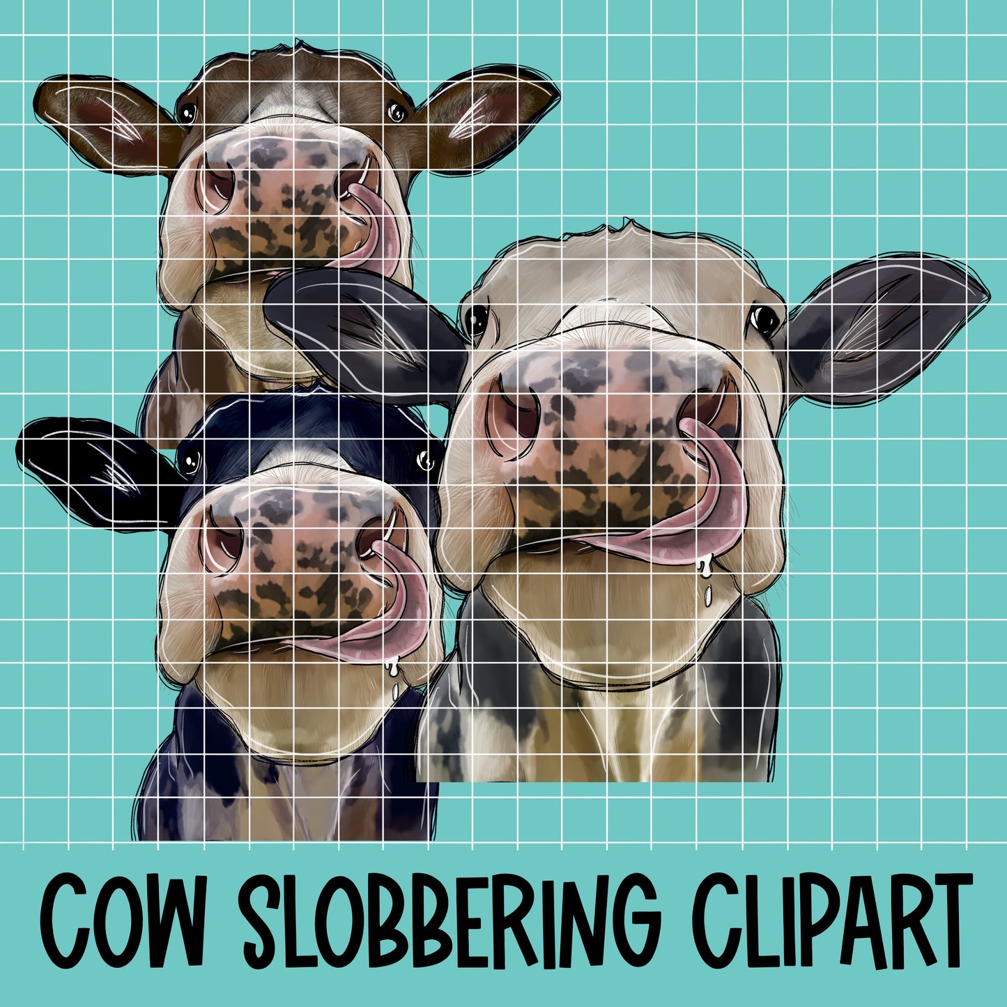 Slobber Cows