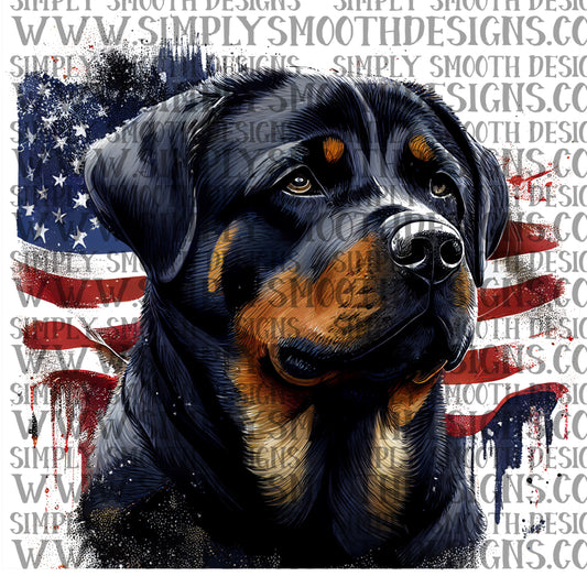 Rottweiler 4th of july