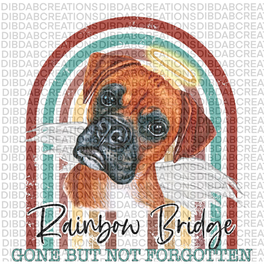 Rainbow Bridge Boxer png digital download design