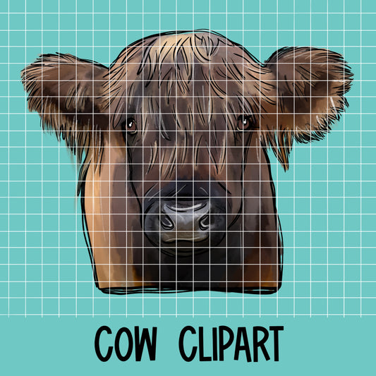 Clipart long hair cow