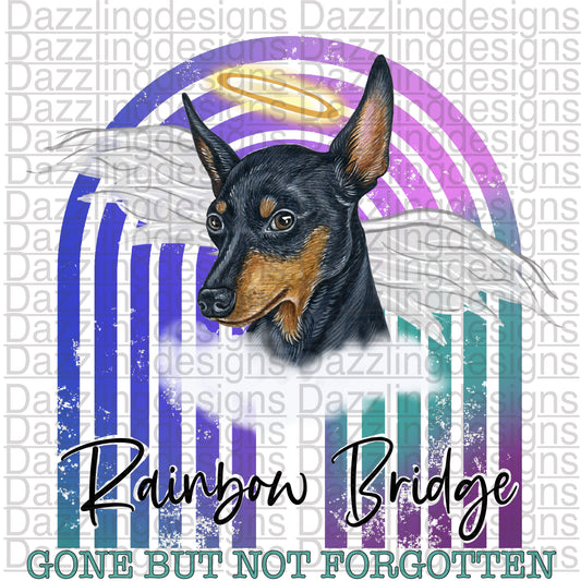 Rainbow Bridge Dog png digital download design