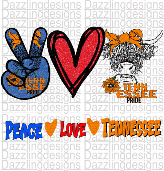 Peace Love Tennessee Pride