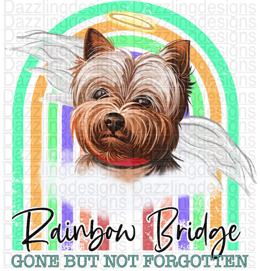 Rainbow Bridge Dog png digital download design