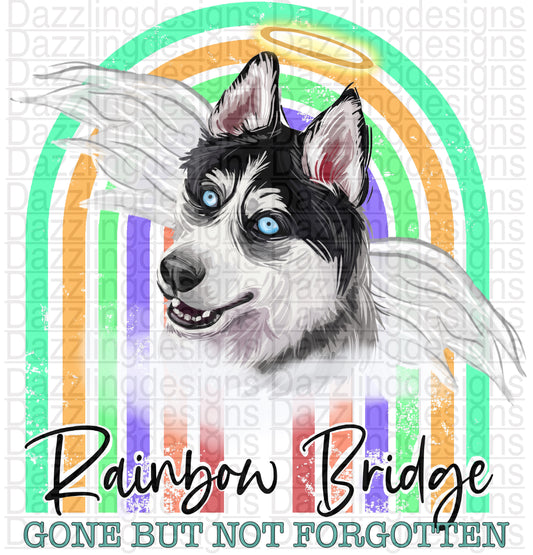 Rainbow Bridge Dog png digital download design