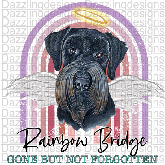 Rainbow Bridge Schnauzer png digital download design