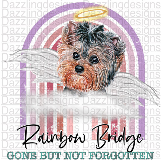 Rainbow Bridge Dog png digital download design