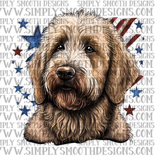 Golden doodle 4th of july