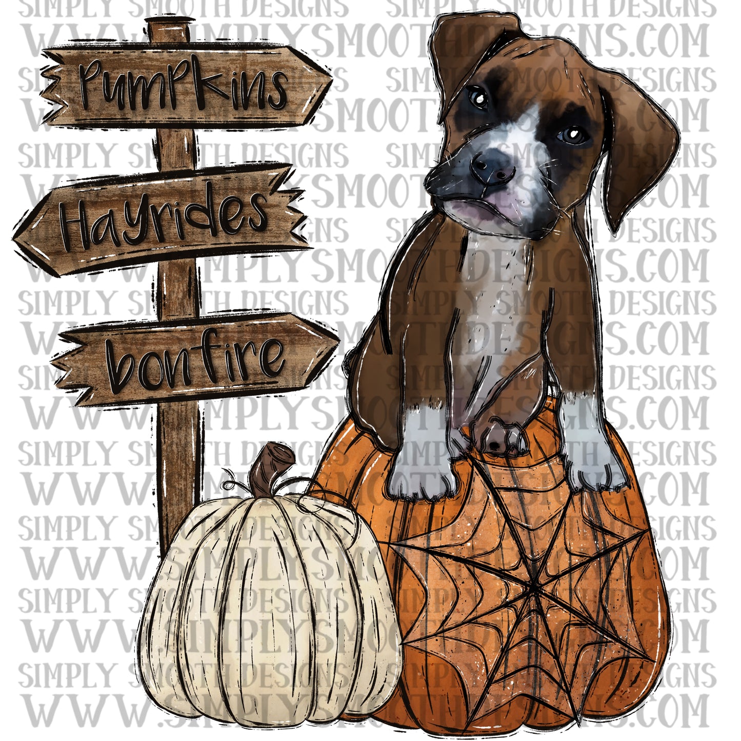 Boxer pumpkin